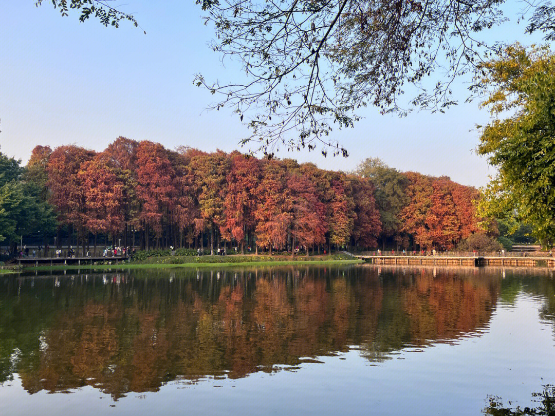 华阳麓湖公园图片