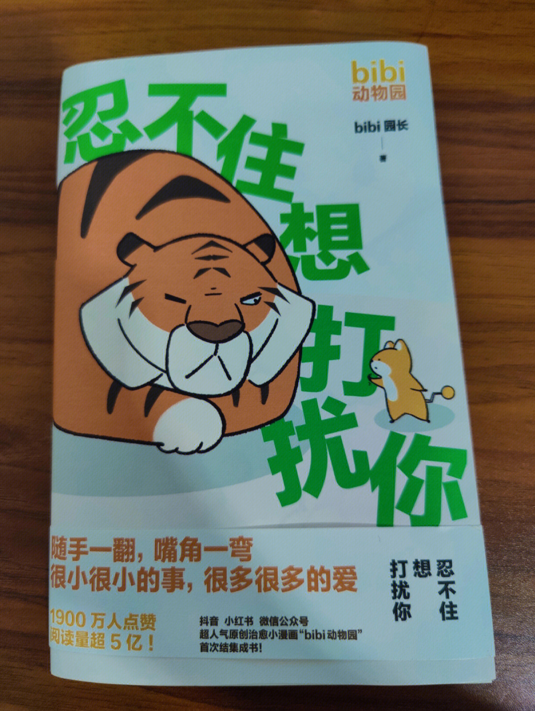 绘本分享忍不住想打扰你治愈系