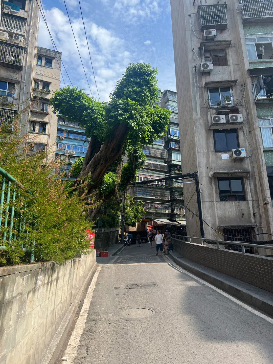 重庆山城步道歌乐山图片