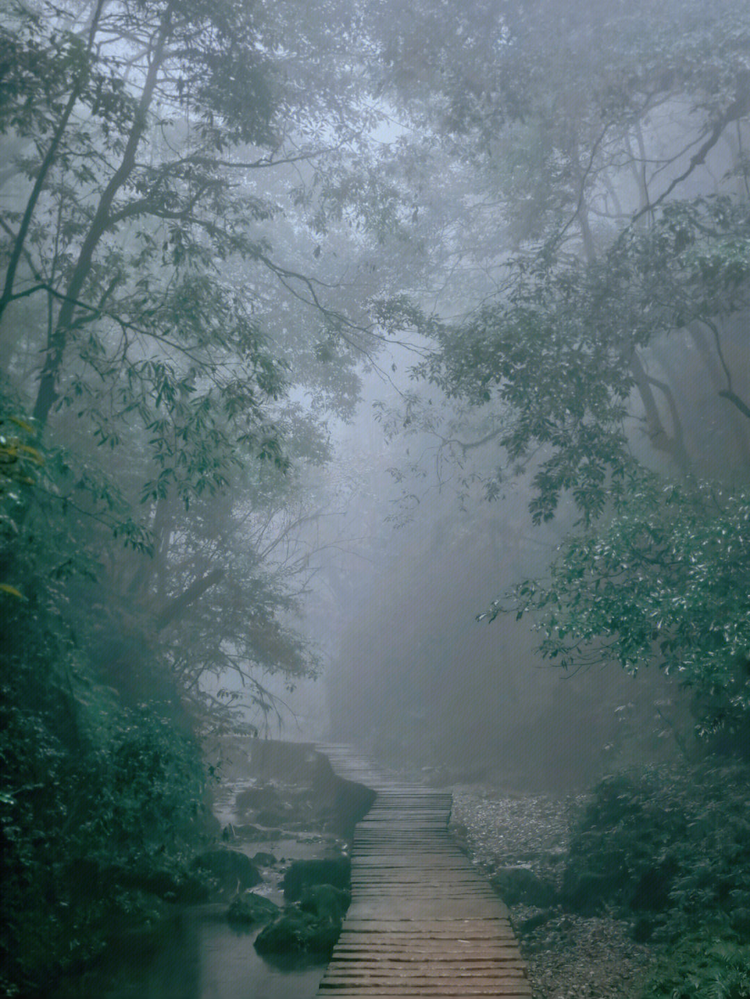 烟雨朦胧的青城山