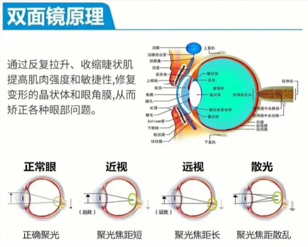 双面镜原理图图片