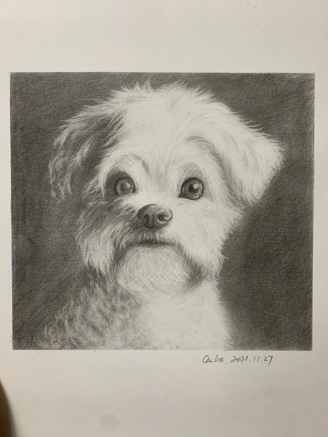 素描手绘小狗可爱铅笔画