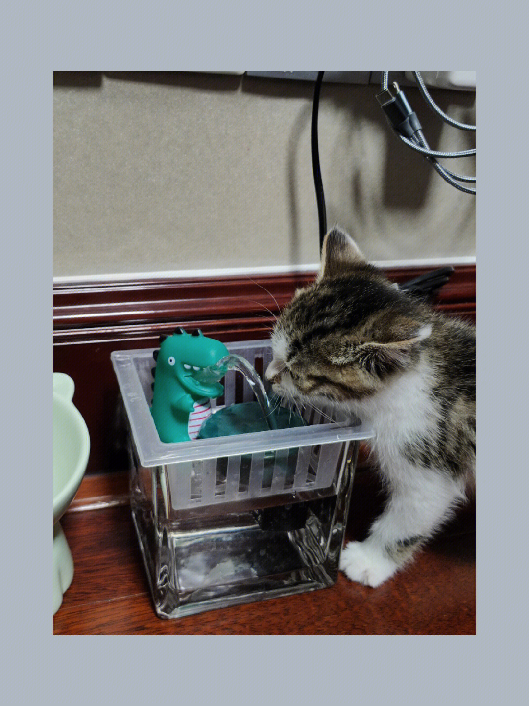 自制猫咪饮水机