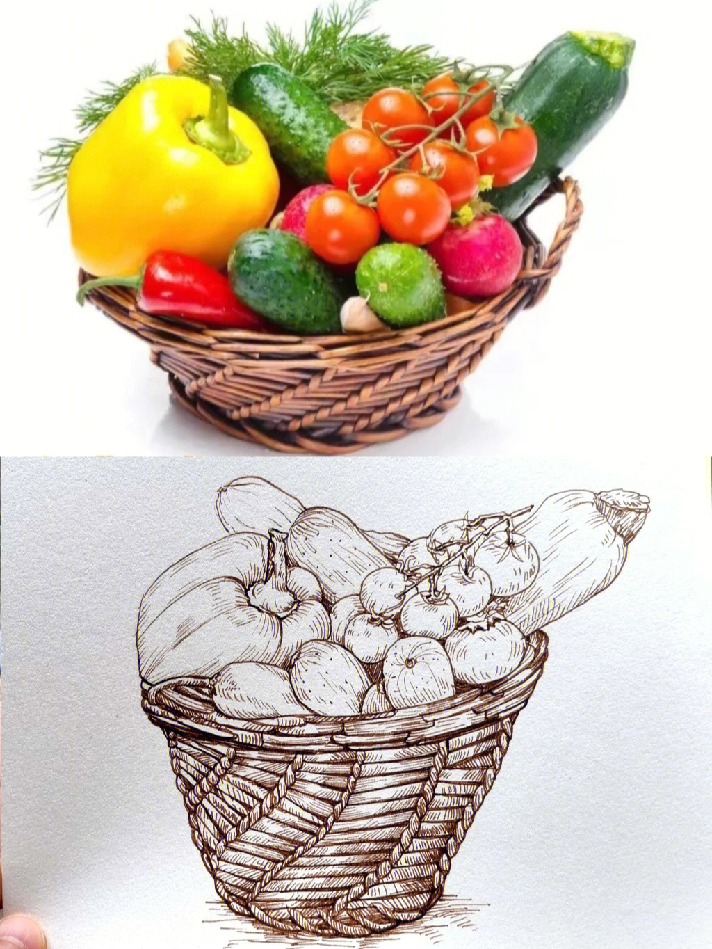 蔬菜组合线描画图片