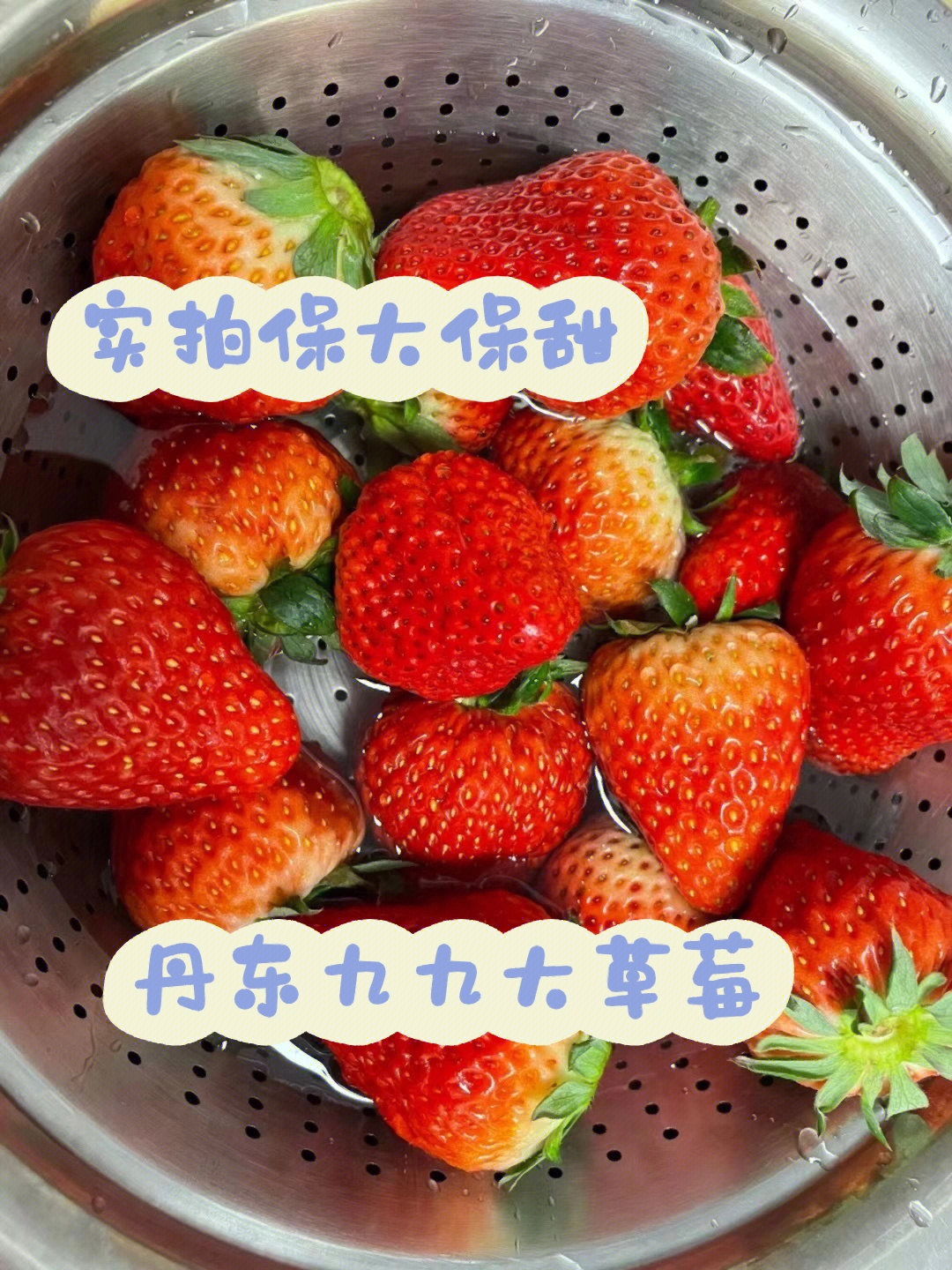 丹东牛奶草莓简介图片