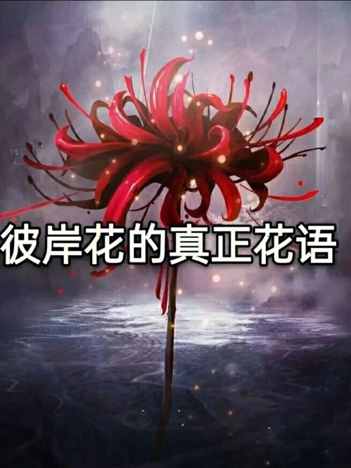 彼岸花文案