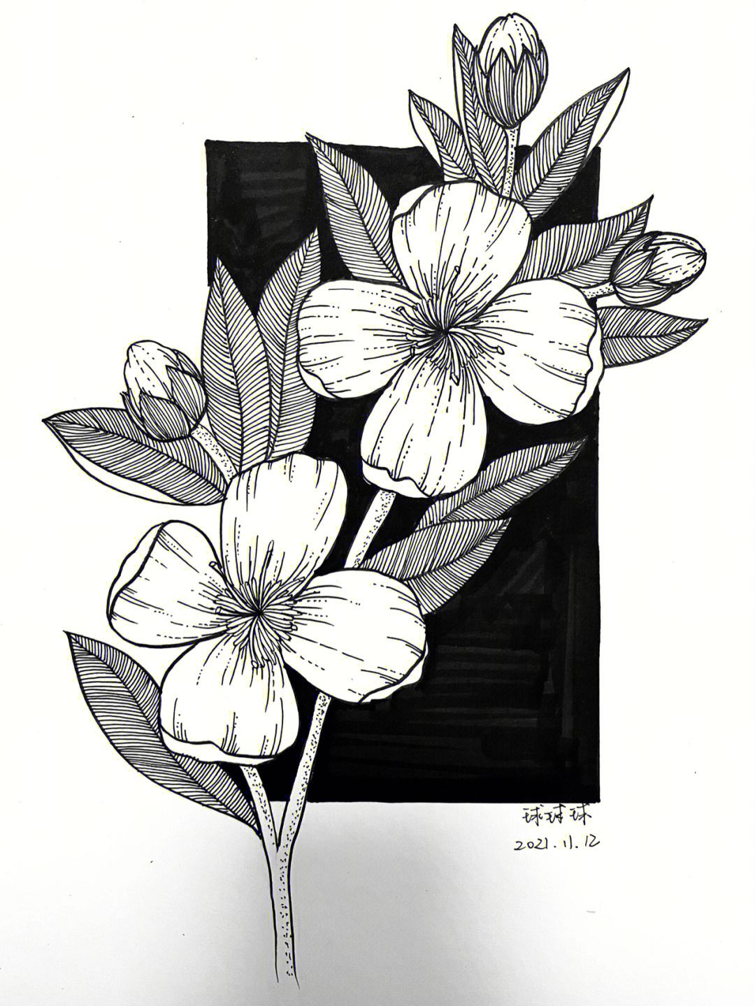 花的装饰画黑白简单图片
