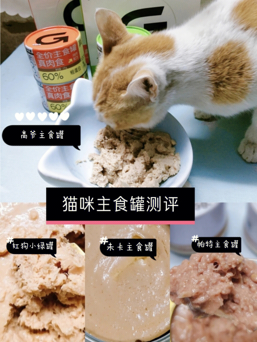 猫咪主食罐测评罐头分享