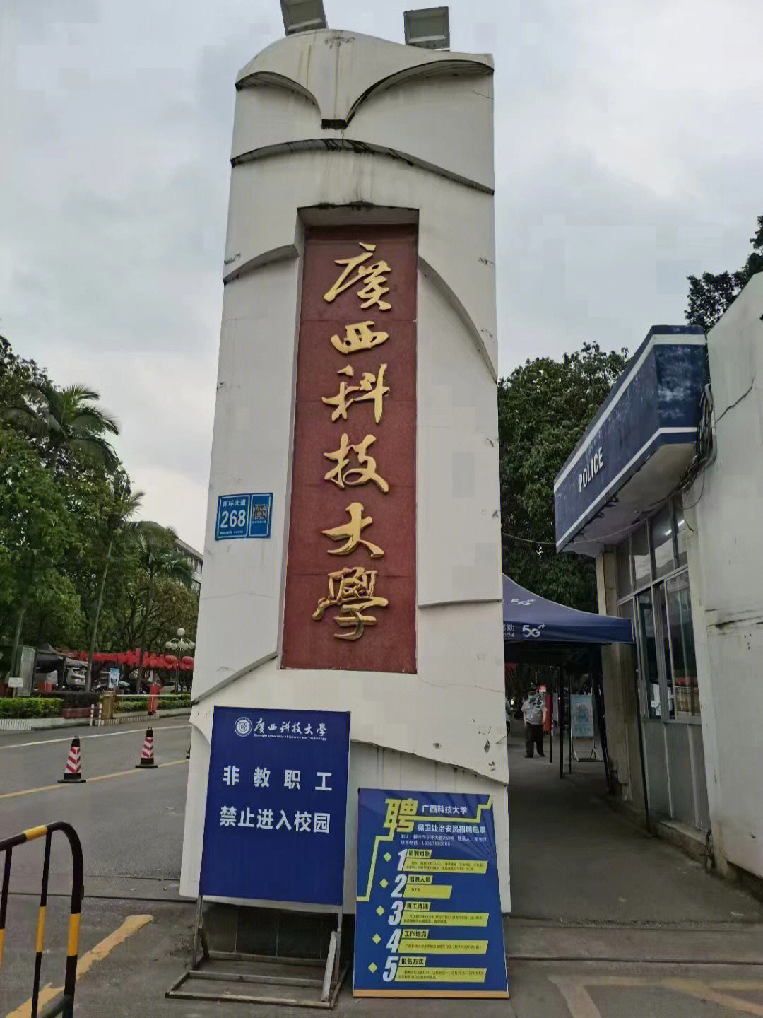 广西科技大学 柳石图片