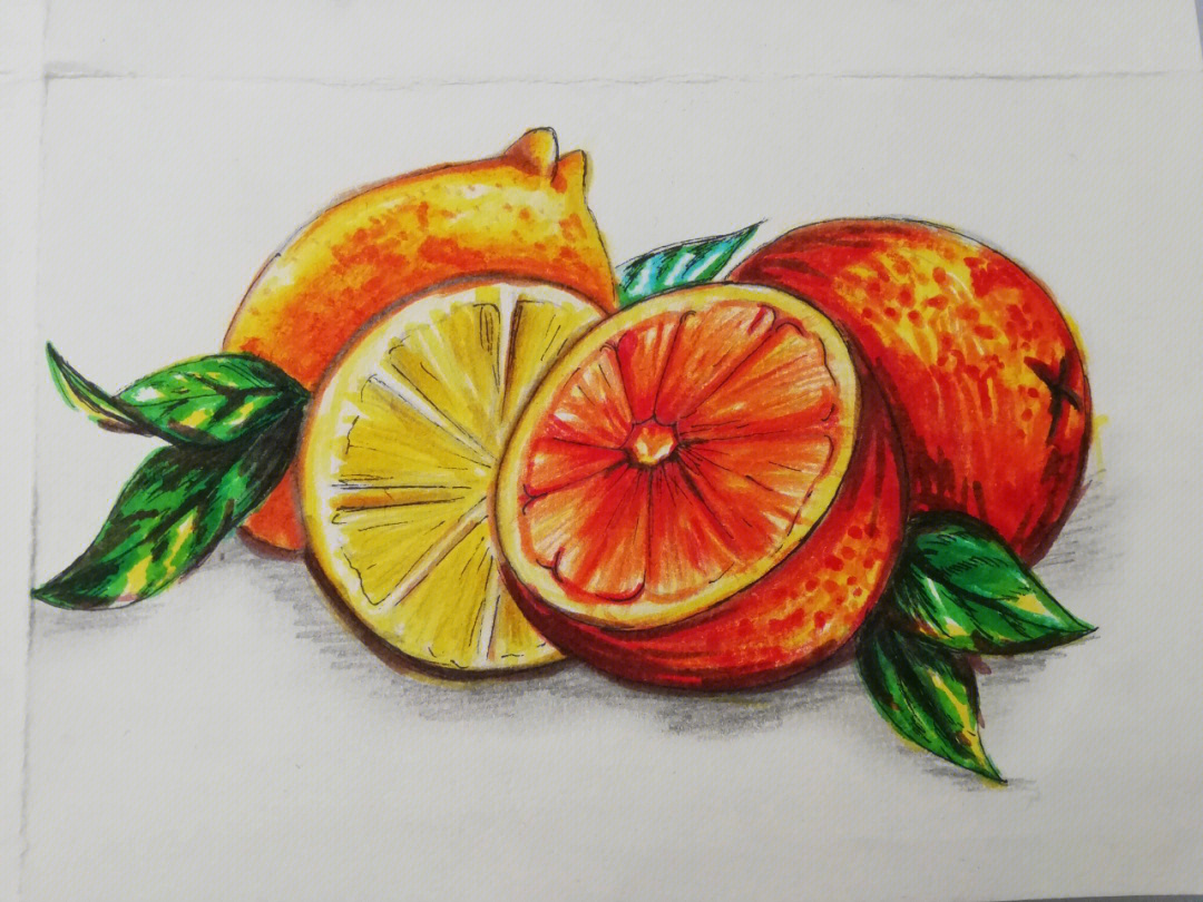 12色水彩笔水果