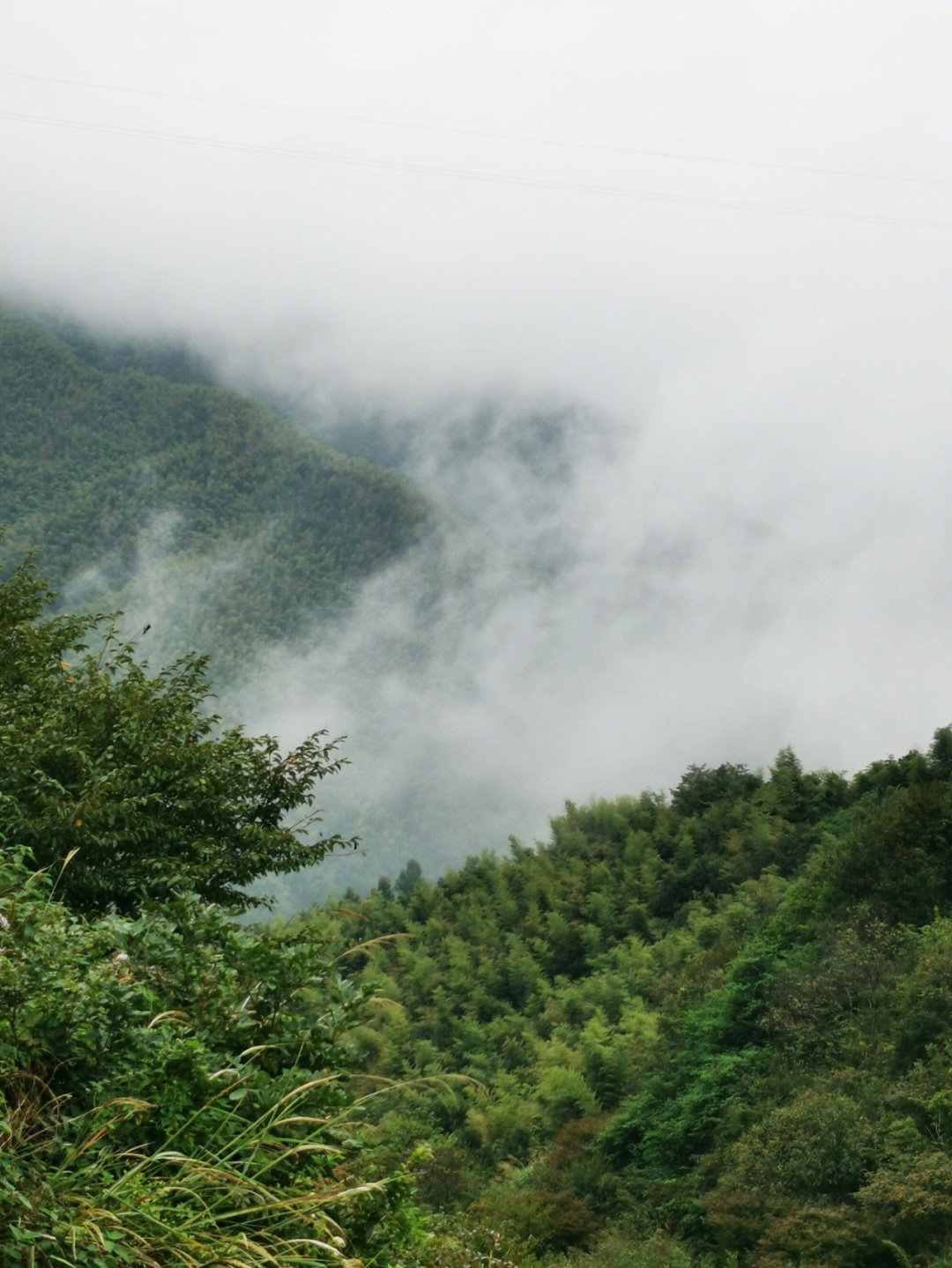 覆卮山景区预约图片