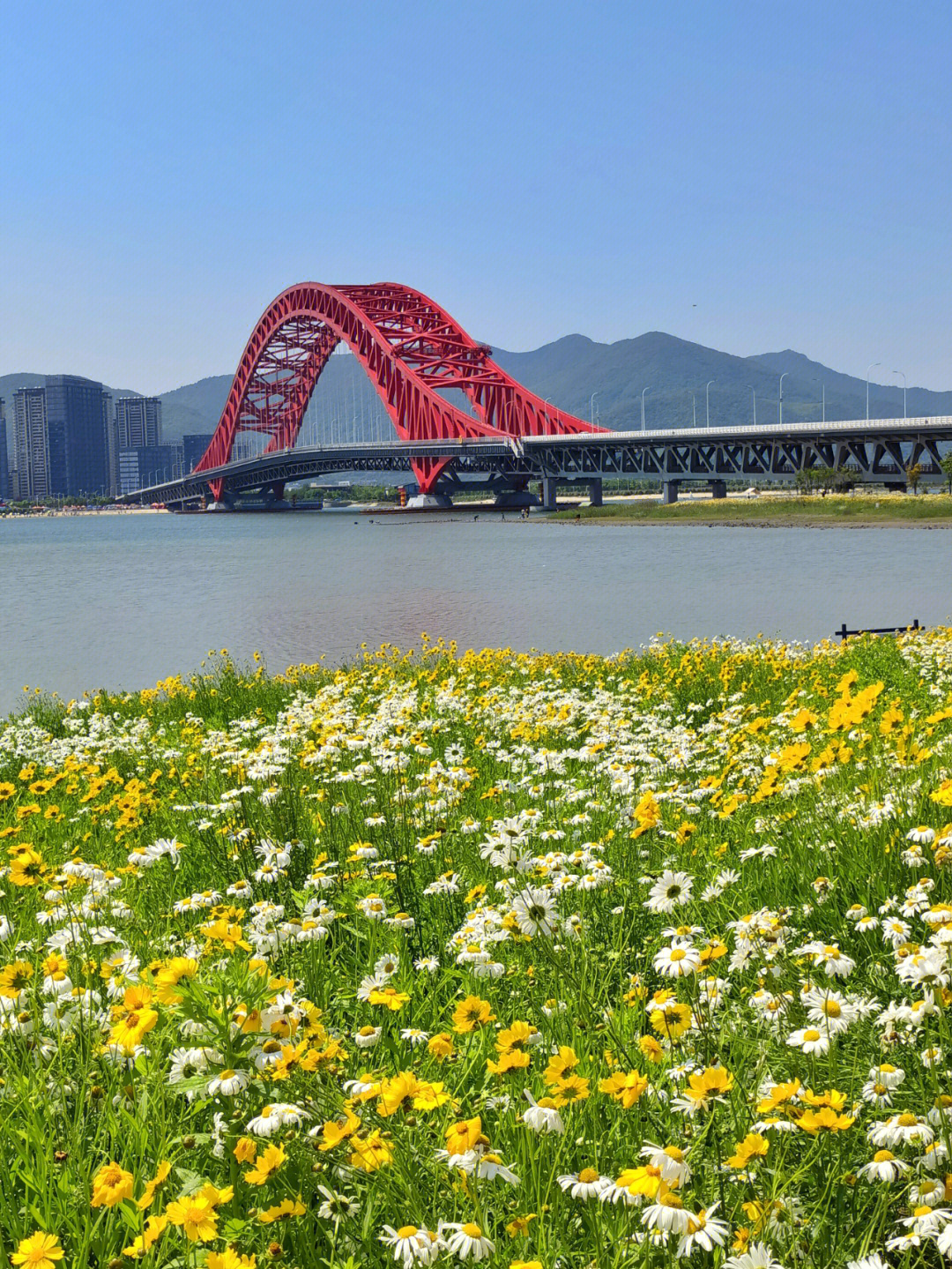 网红打卡地梅山岛红桥花海