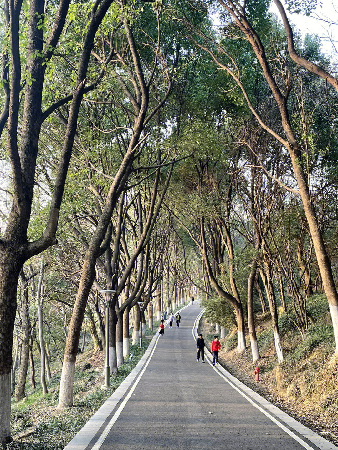 何山 摄影图片