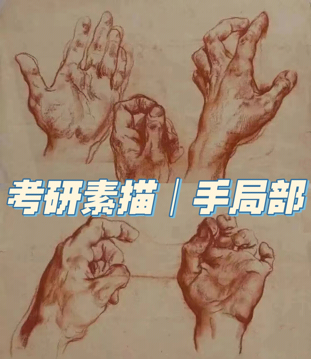 考研素描局部手的刻画