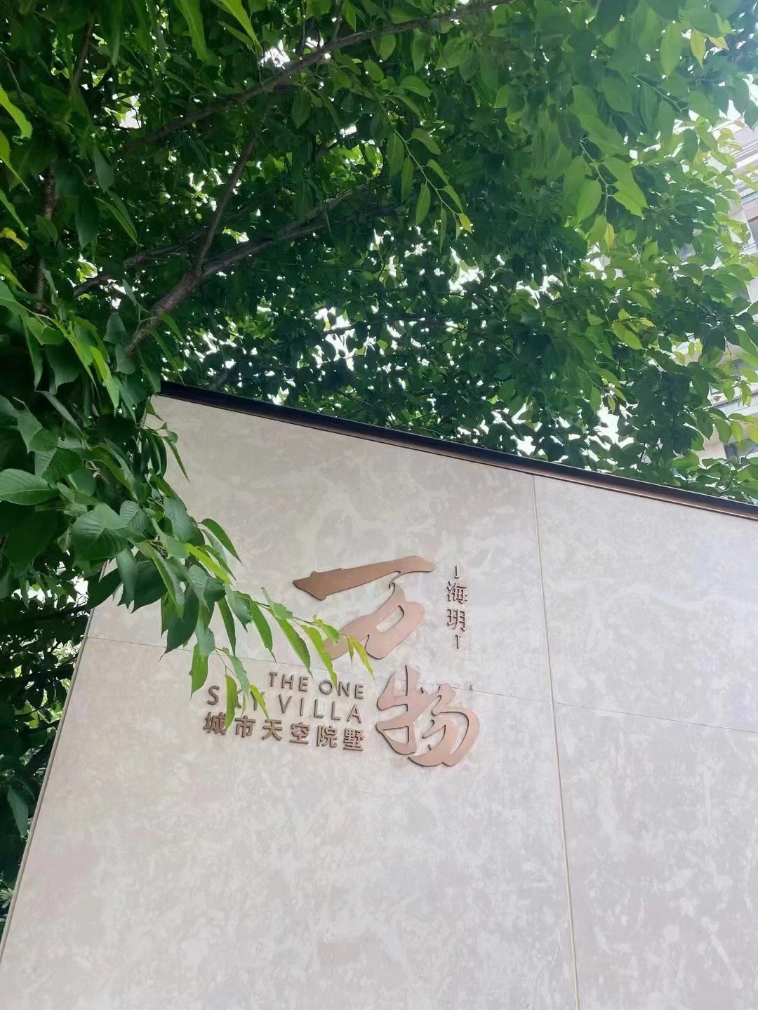 南京海玥图片