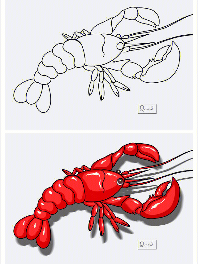 龙虾怎么画步骤图片