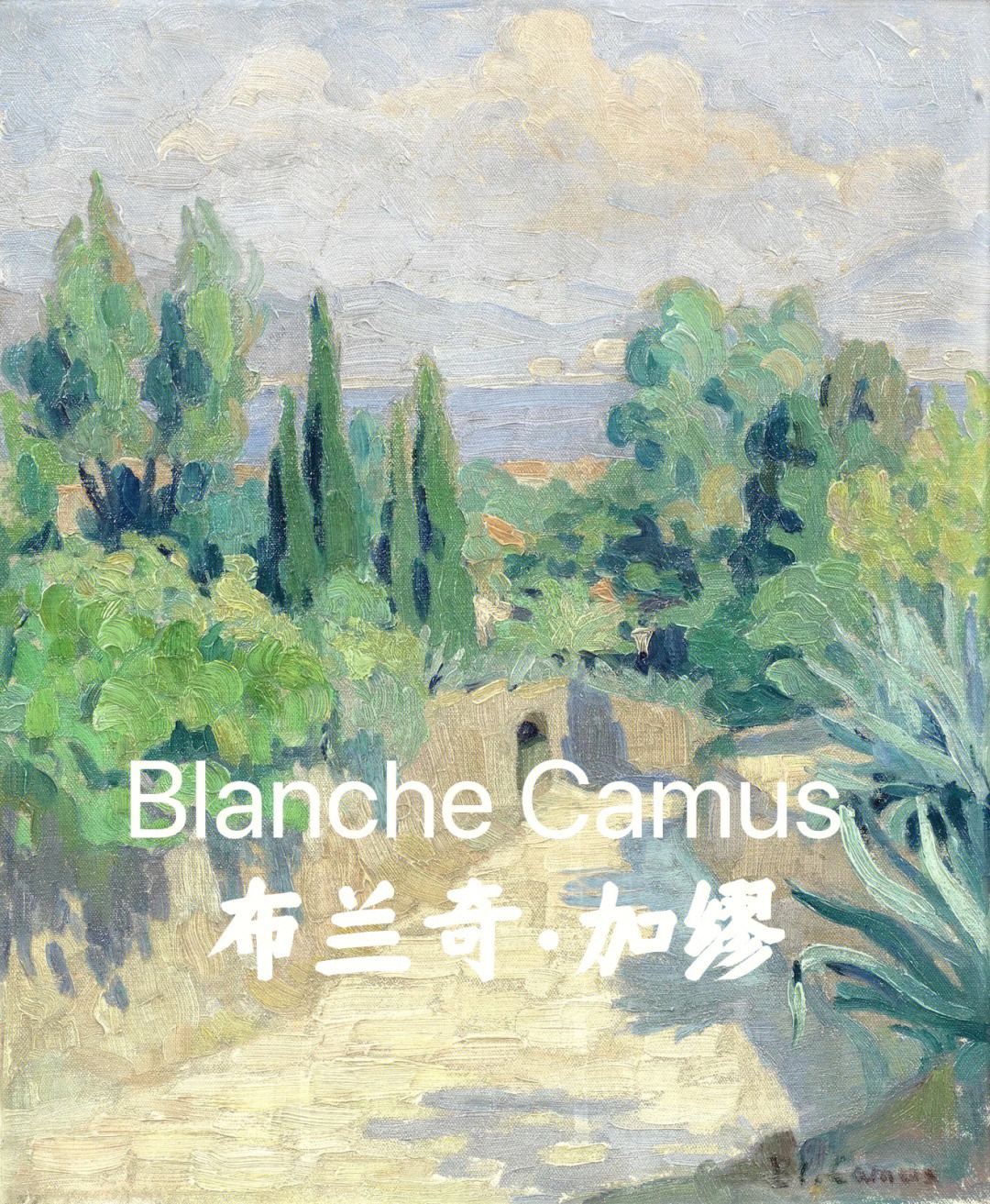 blanchemarket图片