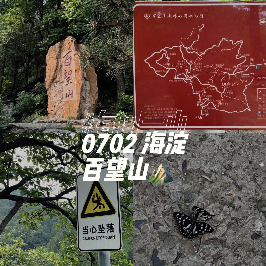 百望山森林公园 门票图片