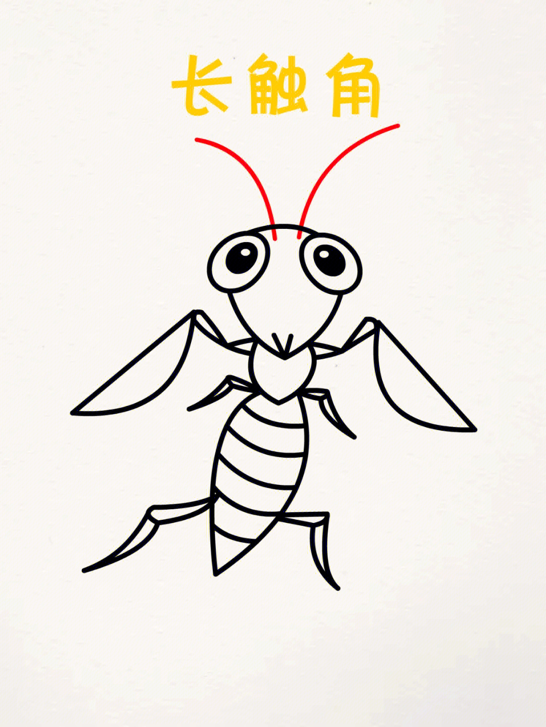 螳螂简笔画步骤图片