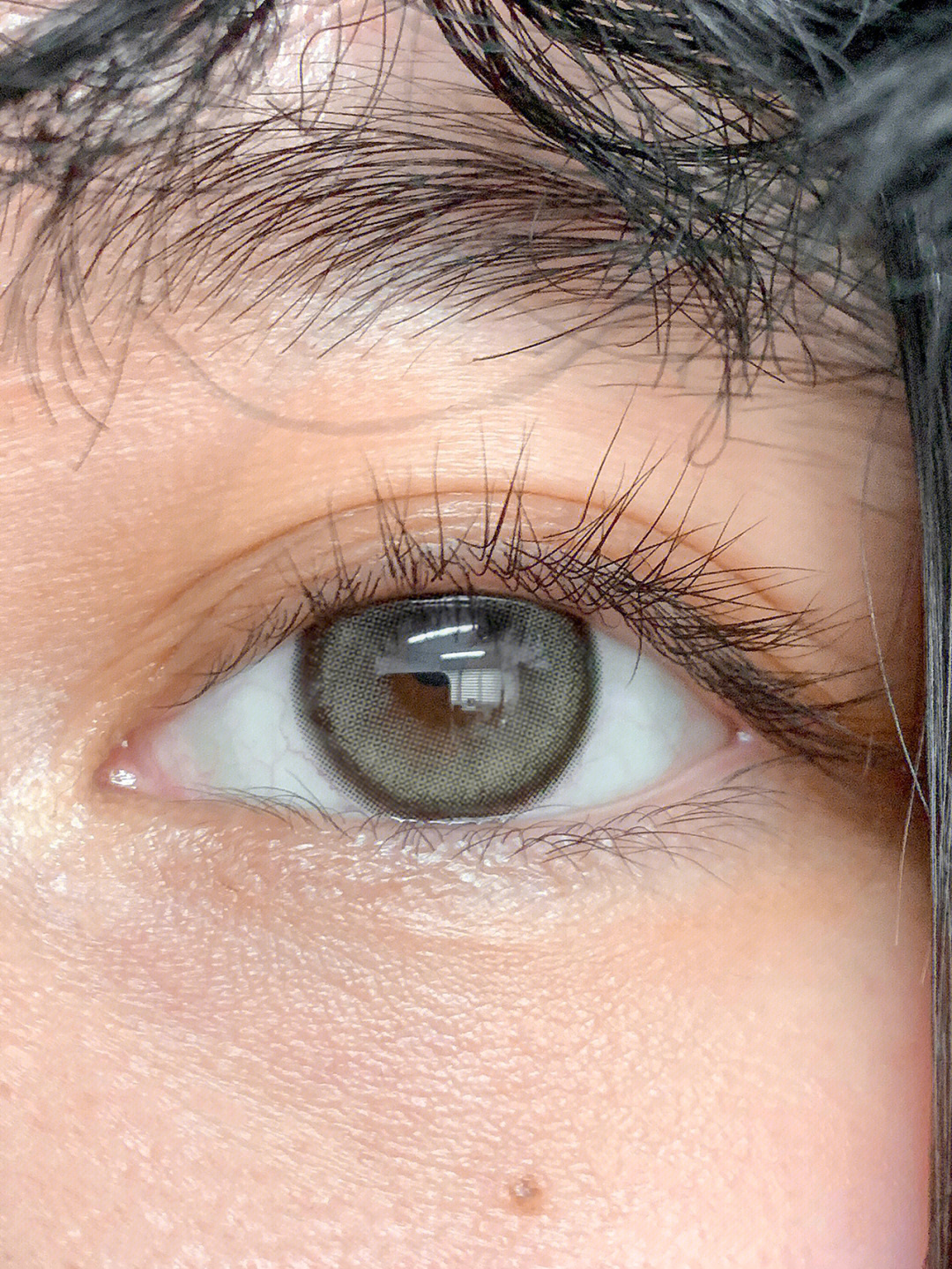 今天是灰绿色的眼睛绝美啊