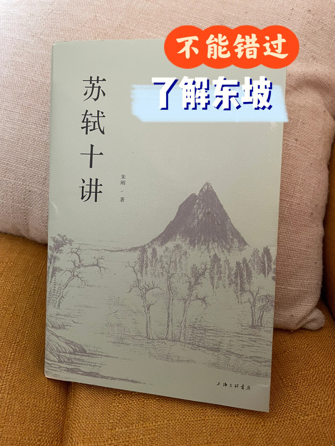 苏东坡的理解需要加深,不能停留在东坡大居士只是乐观坚强的生活家和