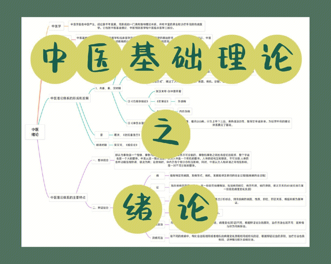 中药学绪论思维导图图片