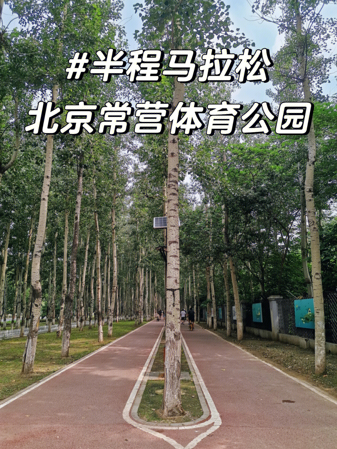 北京常营马拉松体育公园夏天跑步不晒