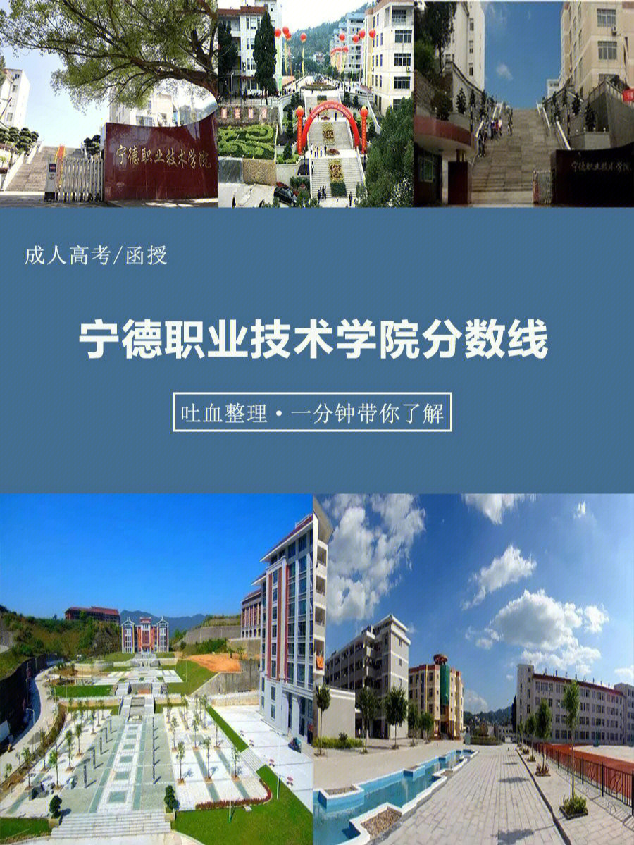 精心整理宁德职业技术学院成考分数线