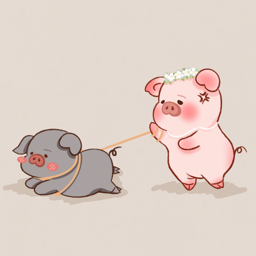 猪和白菜情侣头像卡通图片