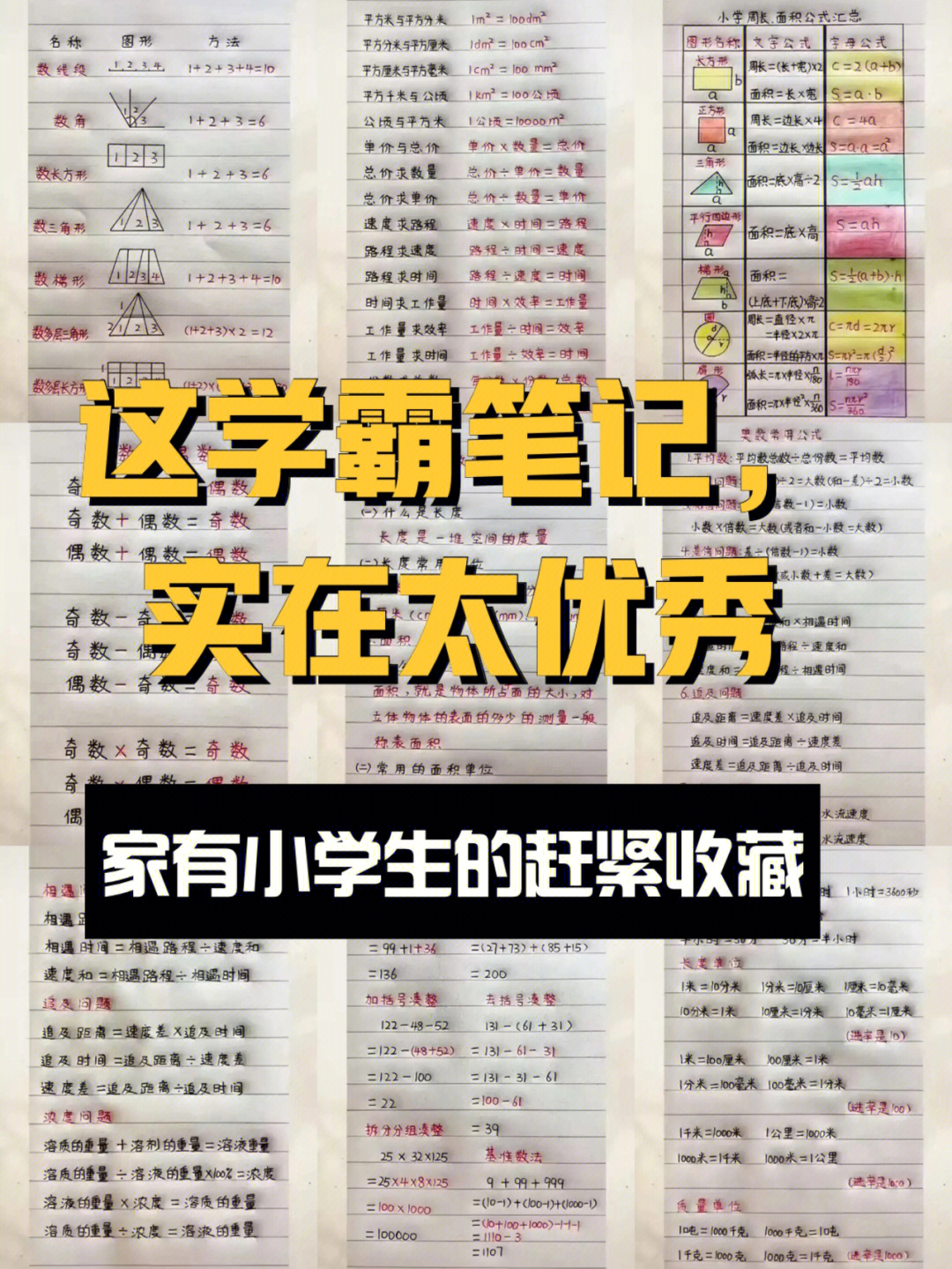 学霸笔记小学 手写图片