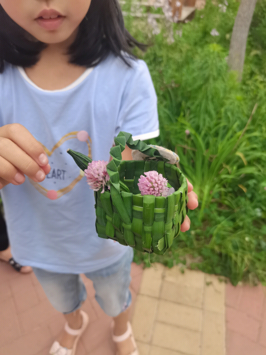 用马莲草编简单的篮子图片