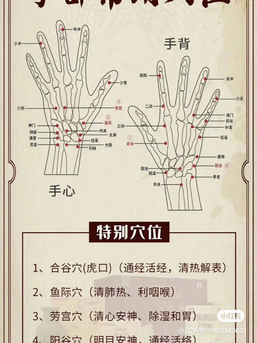 手解准确位置图和作用图片