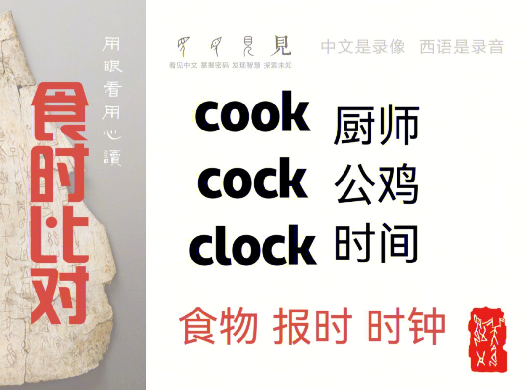 cook什么意思图片