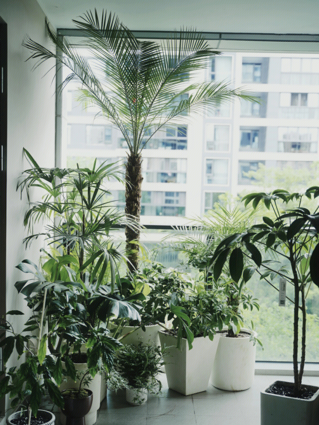 阳台绿植造景