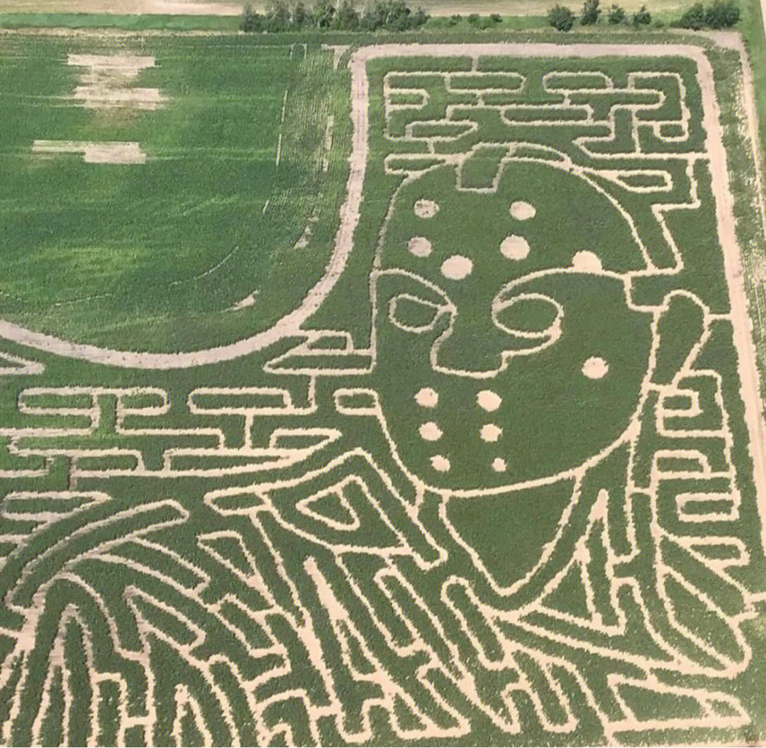 玉米迷宫设计图片