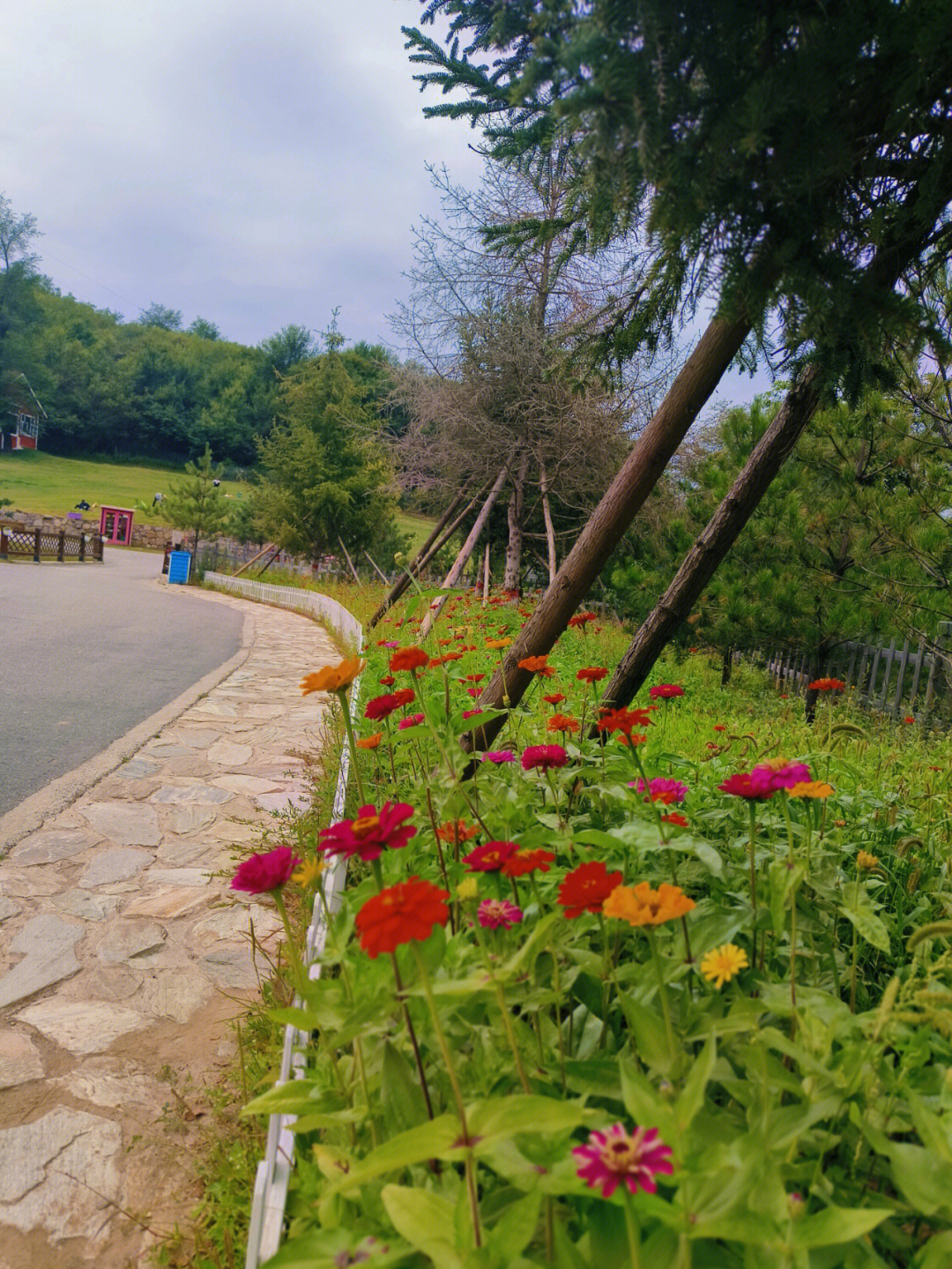 旬邑县鹿野苑住宿图片