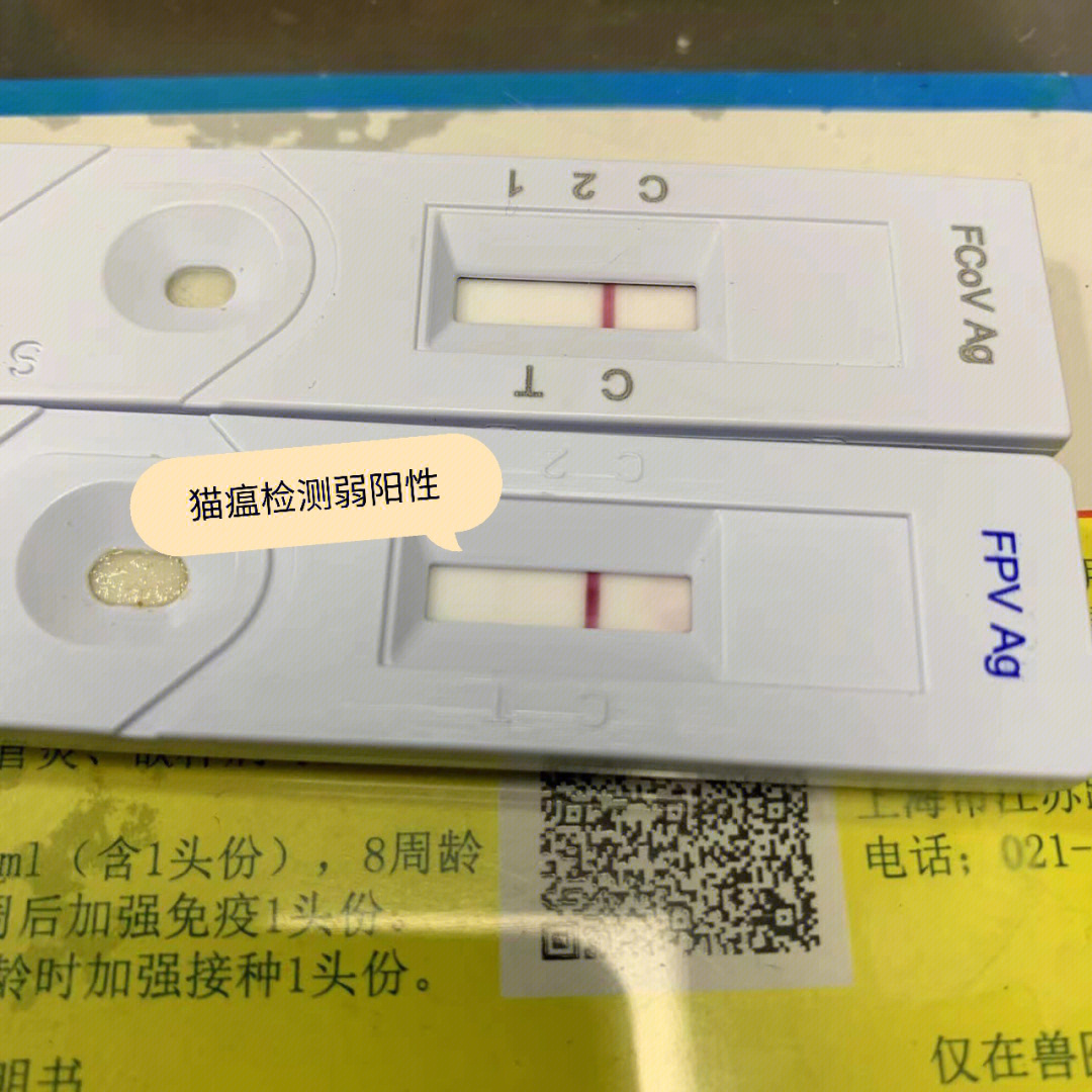 fpv猫瘟检测卡怎么看图片