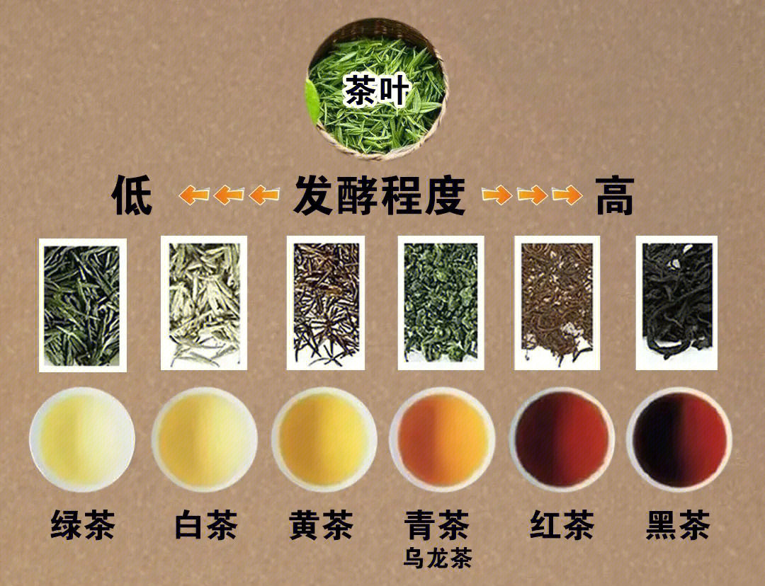 六大茶类茶汤颜色图片