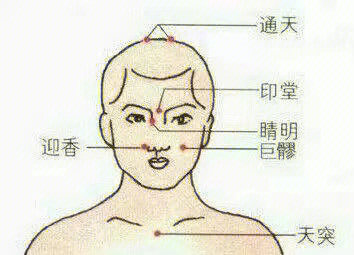 通天的准确位置及功效图片