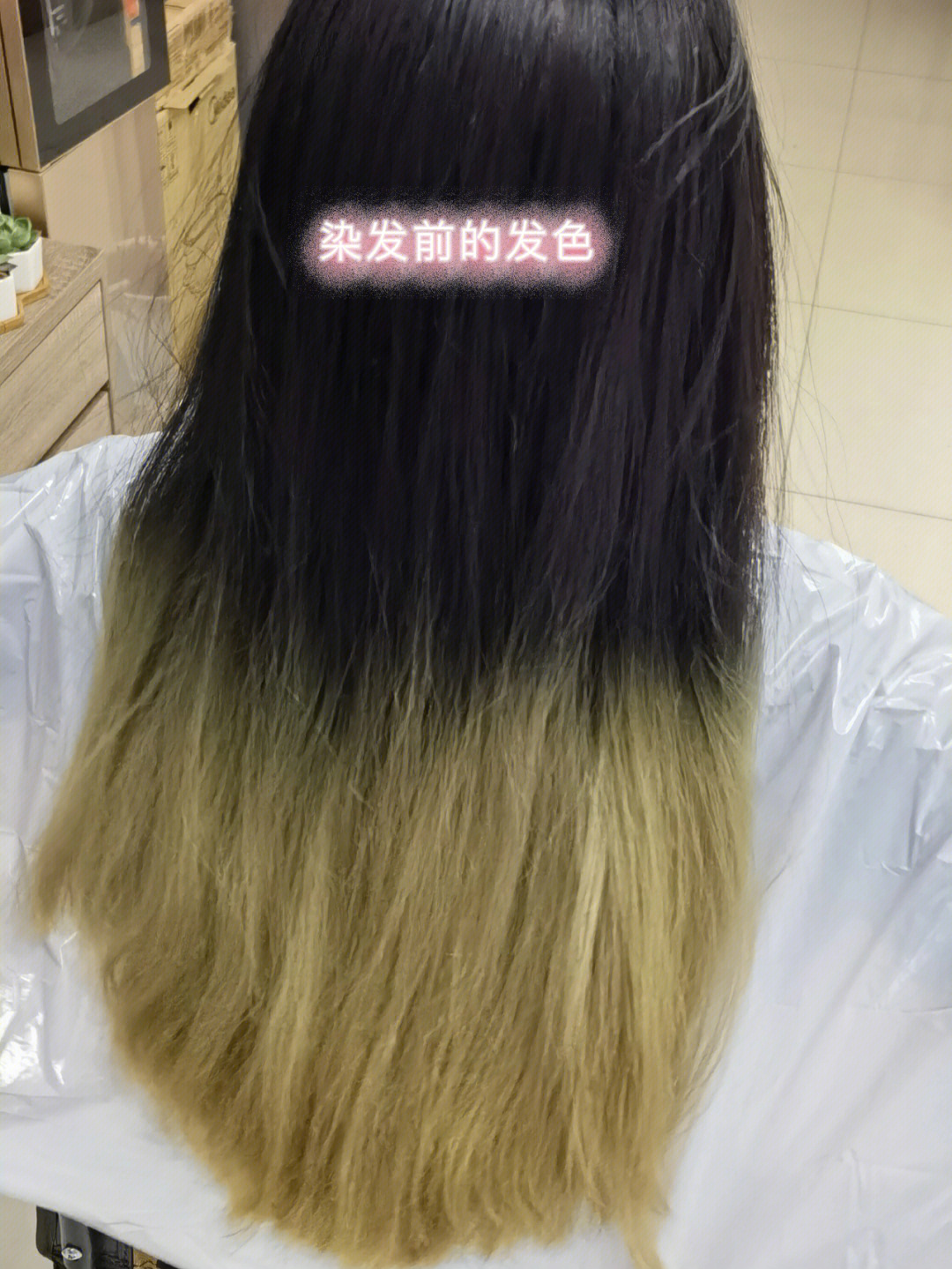 染的掉色后灰色偏重第十二天后就没记录头发的变色情况但是真的是每洗