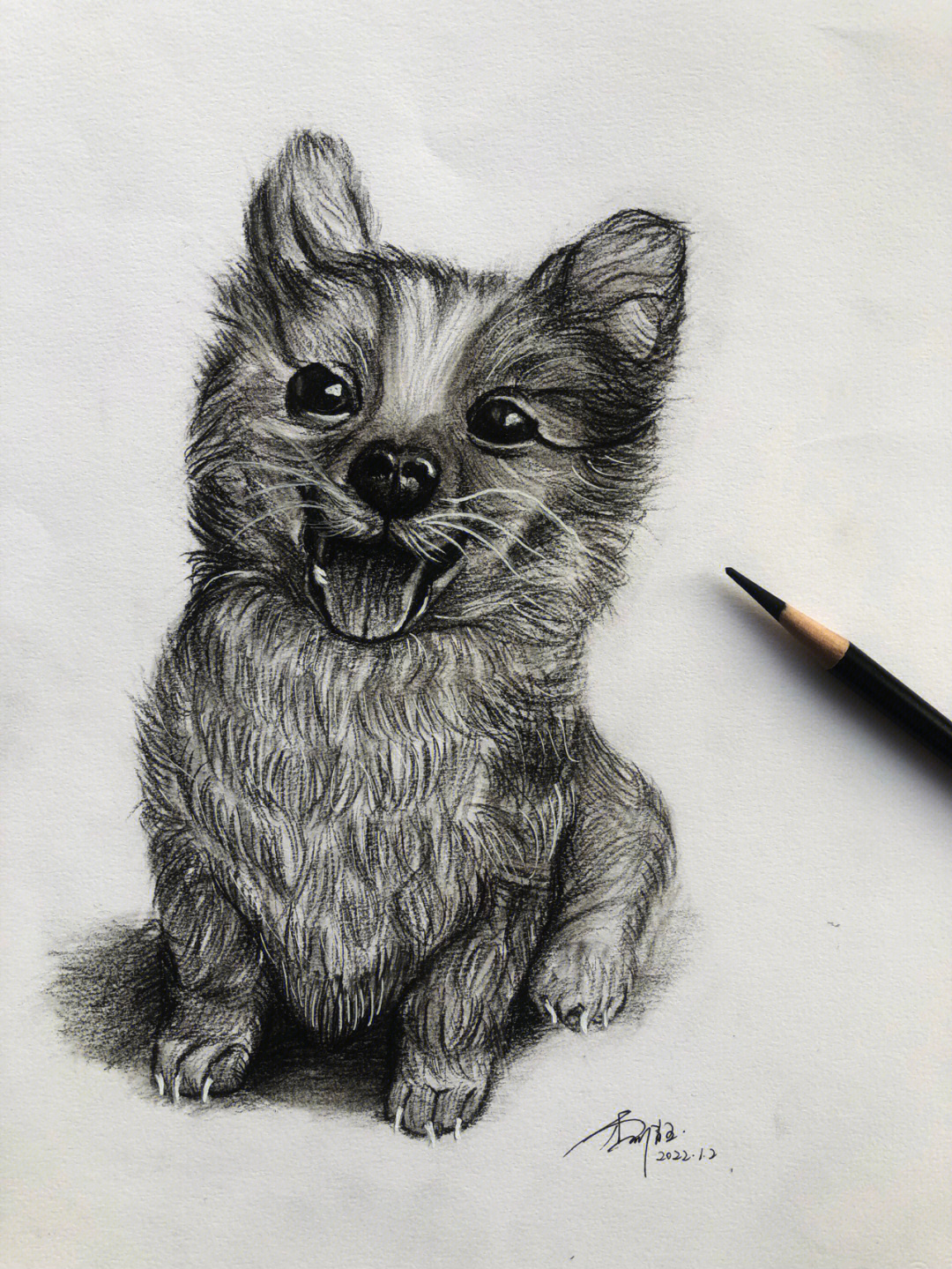 狗的碳素笔画图片