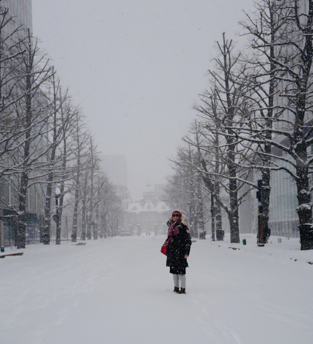 札幌的雪图片