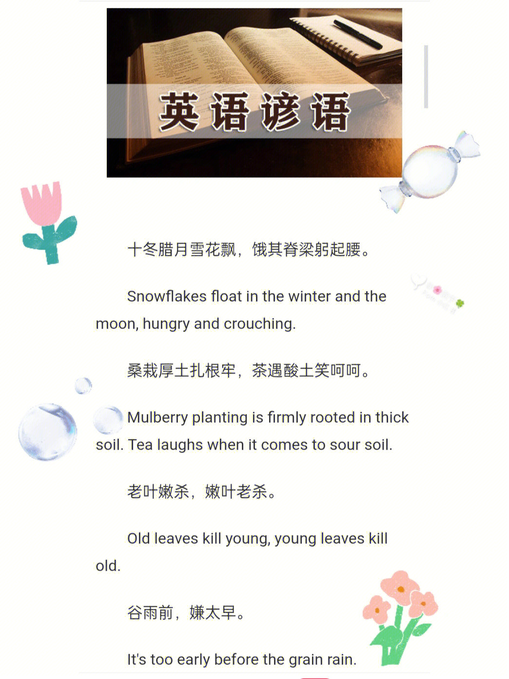 有关茶的英文谚语