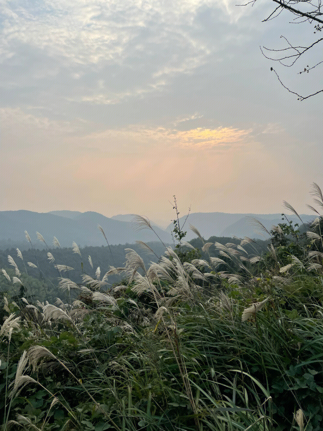 常德小众周边游临澧太浮山