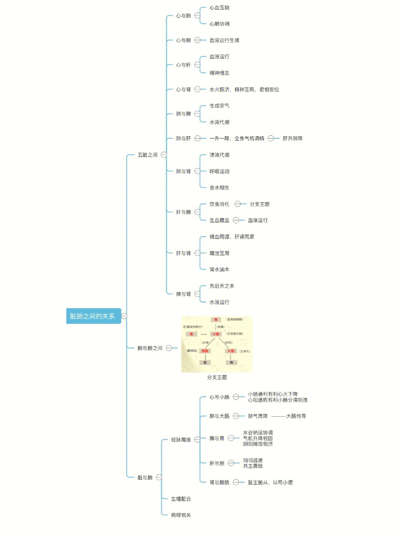 五脏六腑关系思维导图图片