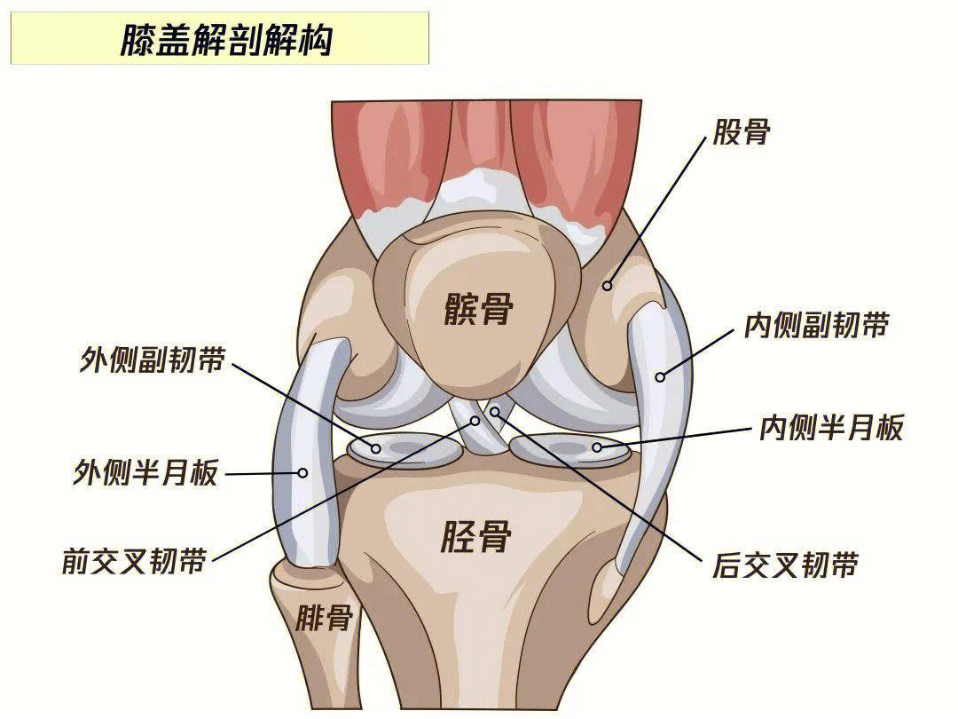 骑行6种导致膝盖疼痛的原因来看你中了哪个