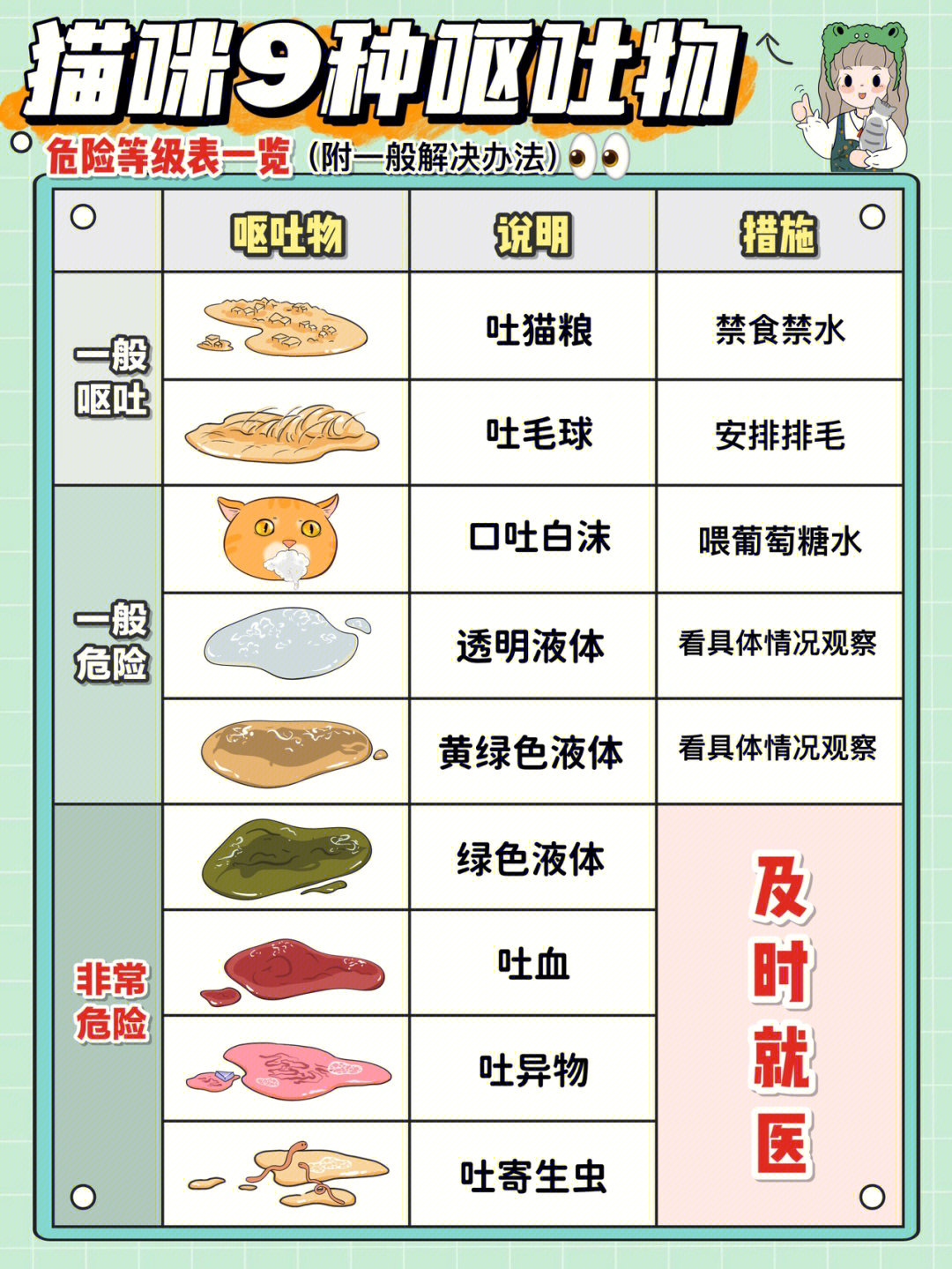 7515一般呕吐9799未消化的猫粮,吃太多太快/食物过敏/消化