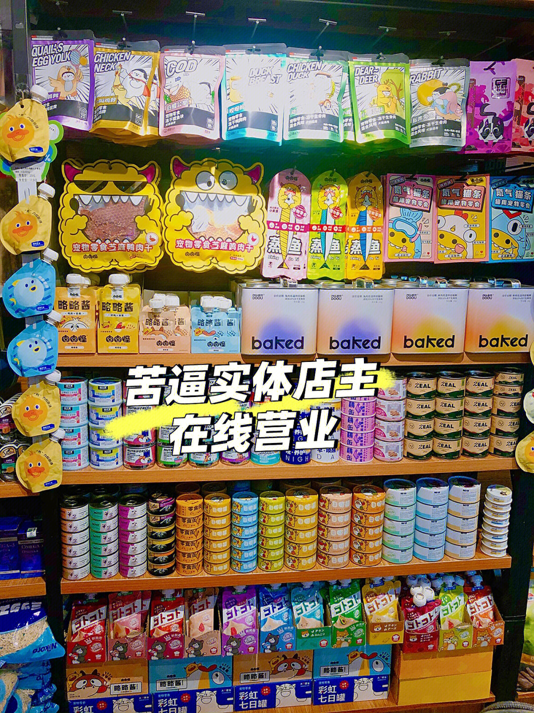 大家好呀,我叫蓝文,一名宠物店店主