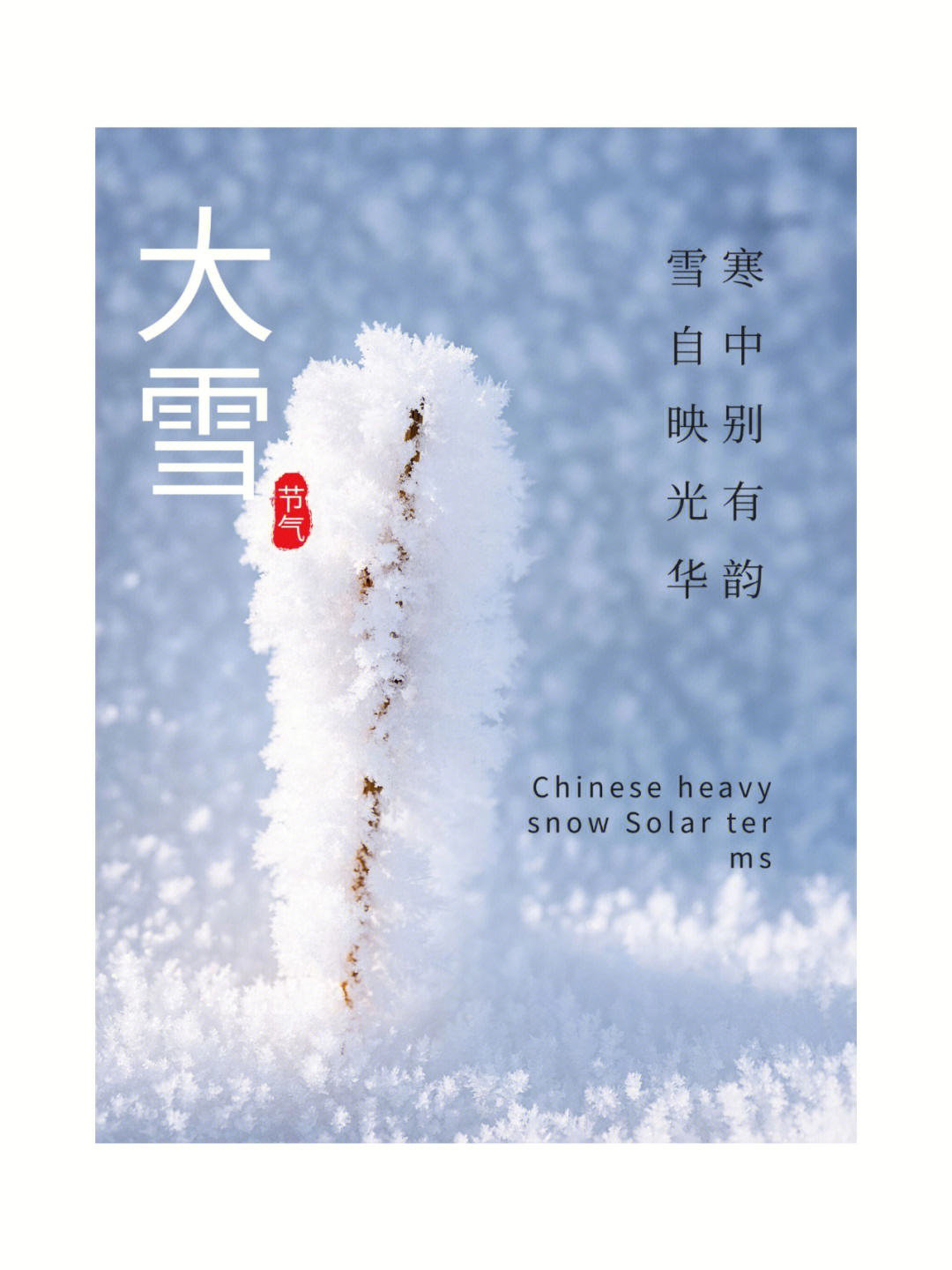 已经来了春天还会远吗辛丑冬月初四,时至大雪,乃入仲冬,今日大雪节气