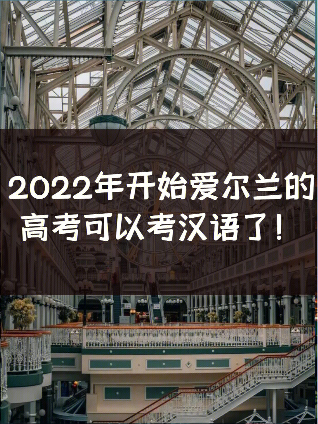 2022年开始爱尔兰的高考可以考汉语了